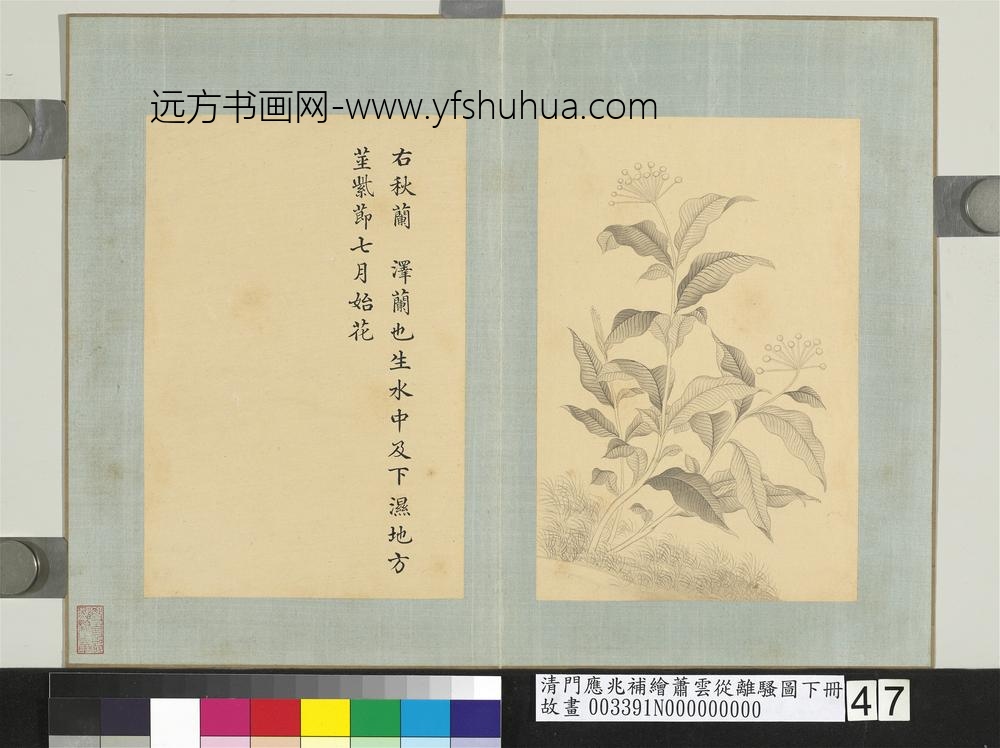 清门应兆补绘萧云从离骚图下册_秋兰