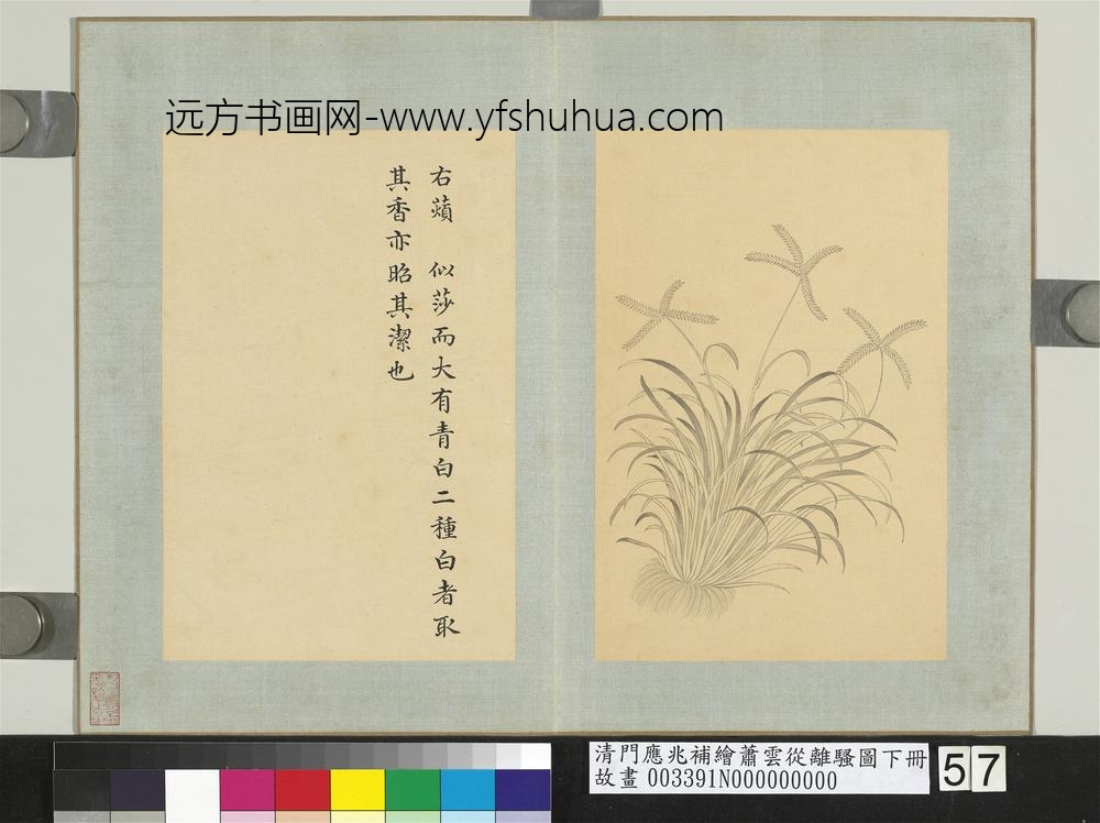 清门应兆补绘萧云从离骚图下册_薠