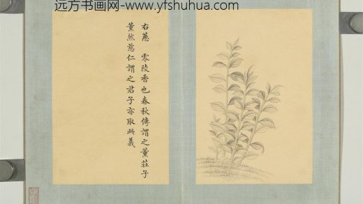 清门应兆补绘萧云从离骚图下册 零陵香.jpg