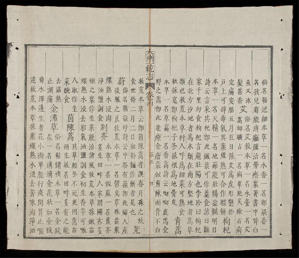 _大南一統志(q.)__