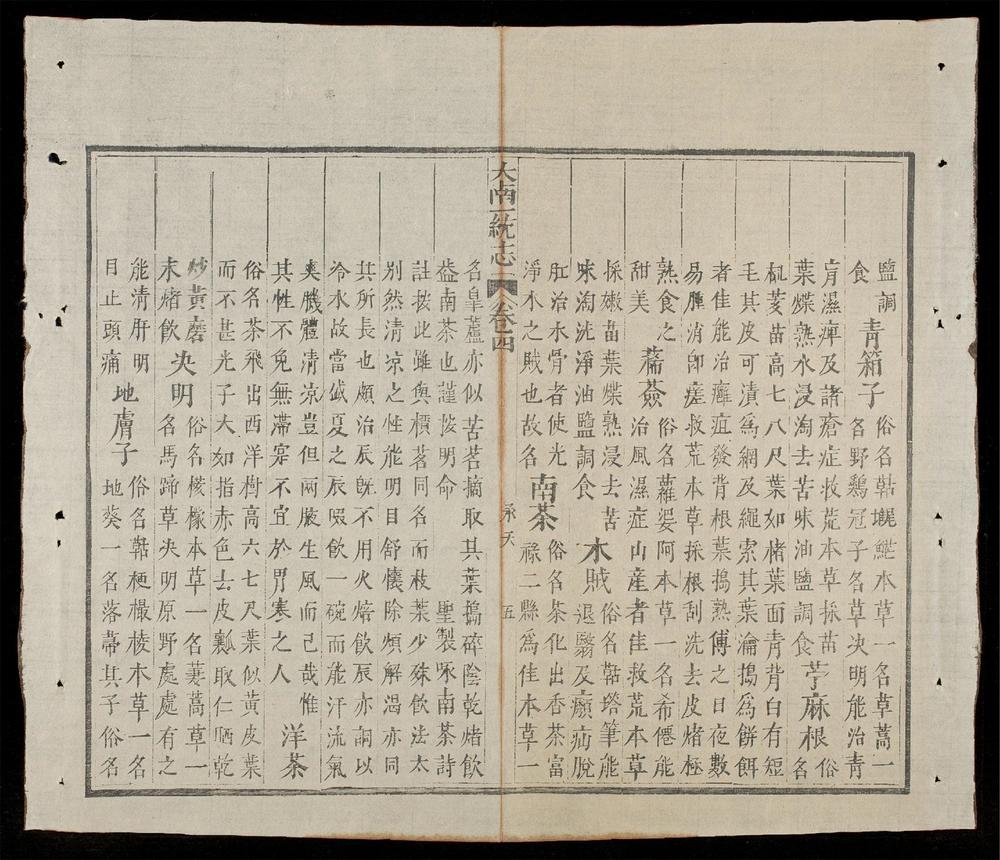 _大南一統志(q.)__