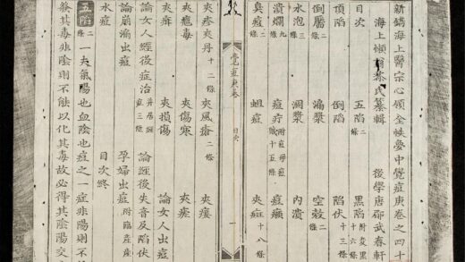 0523 新鐫海上醫宗心領全帙q.40 41 0316125904 1.jpg