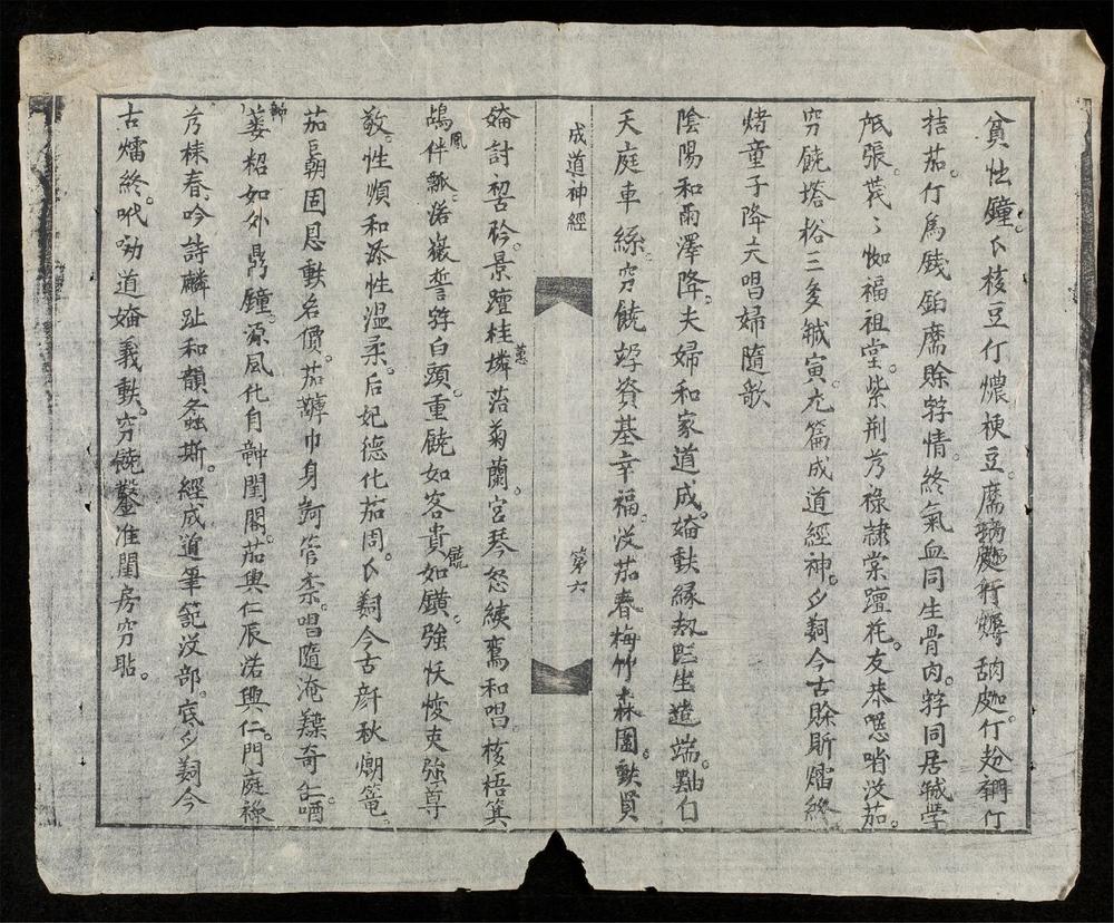_成道神經__