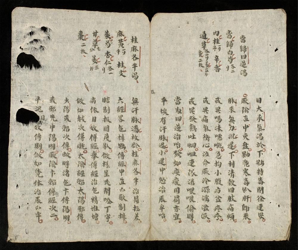 _傷寒集解國音歌__
