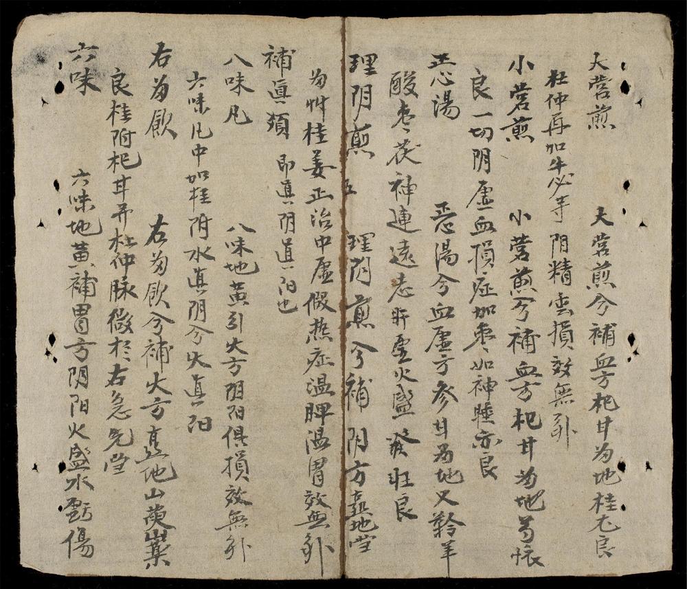 _百症藥詩家傳__