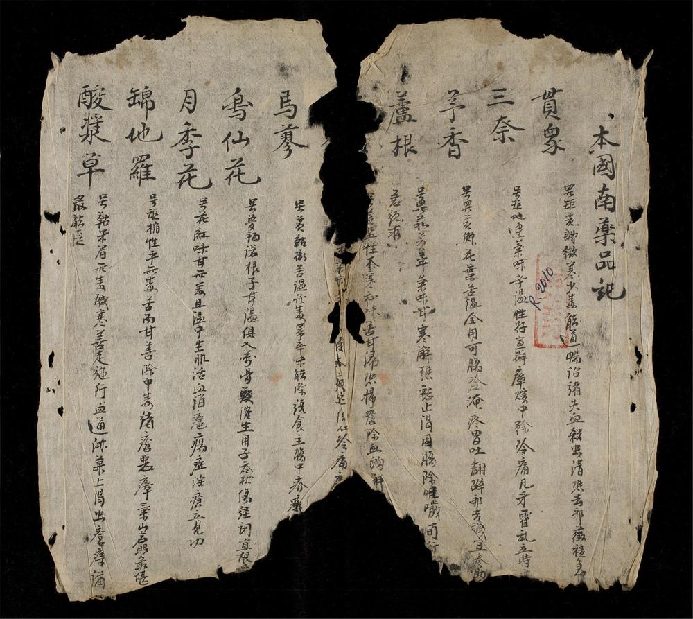 _本國南藥品記__