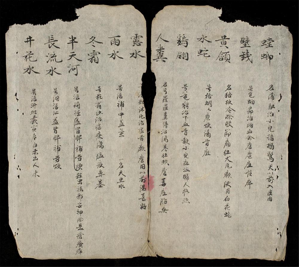 _本國南藥品記__