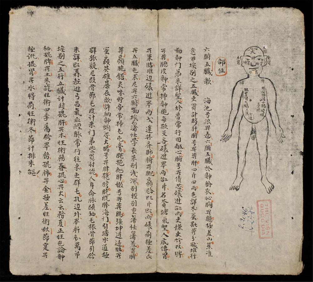 _痘中雜症__