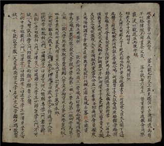 _學規新場開設__