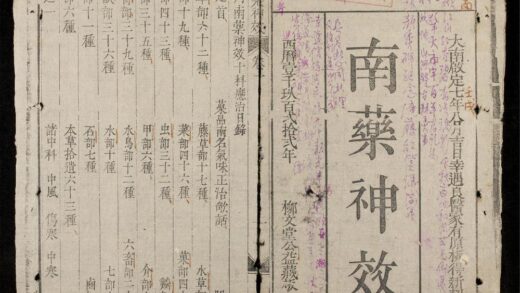 0811 南藥神效 0316131000 1.jpg