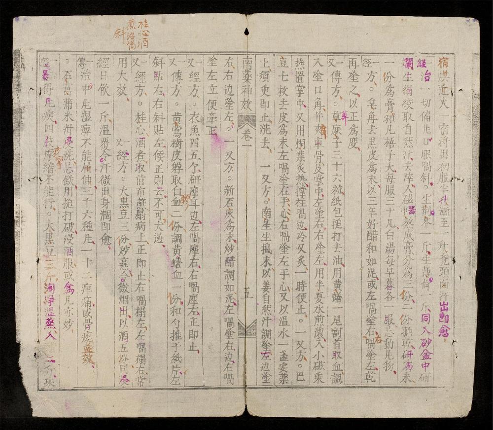 _南藥神效__