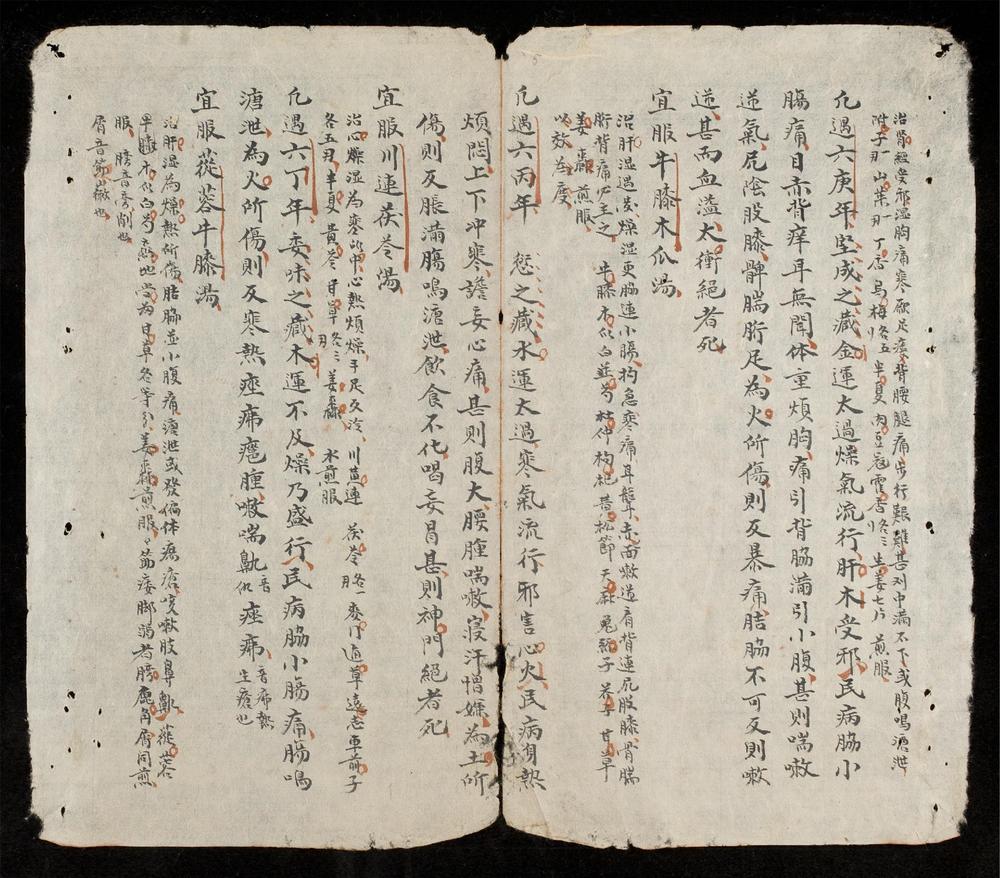 _纂述諸運年之氣集__