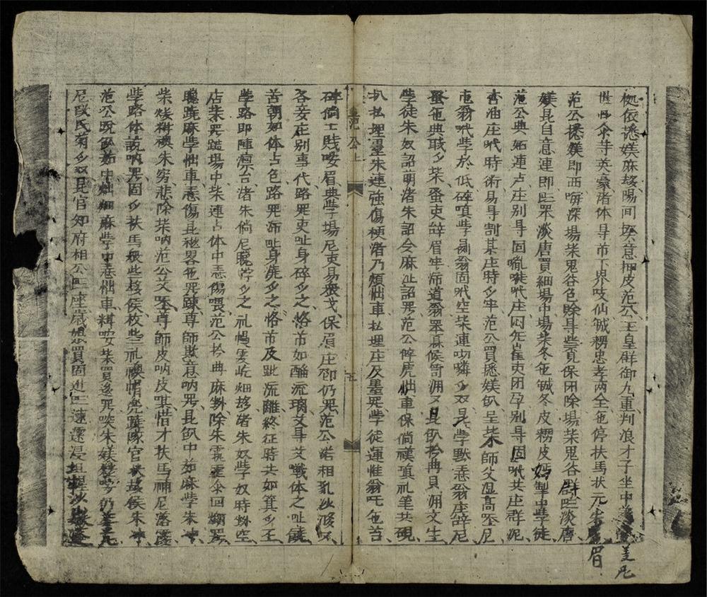 _范公新傳__