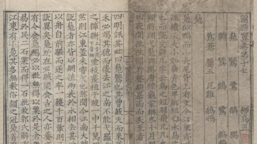 1173 尔雅翼三十二卷 0222142140 1.jpg
