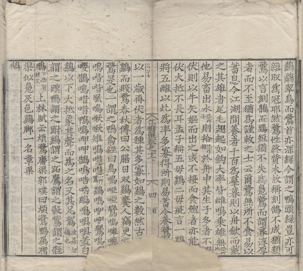 _尔雅翼三十二卷__