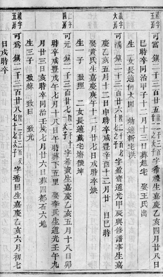 _龍溪張氏十甲人房宗譜 version part __