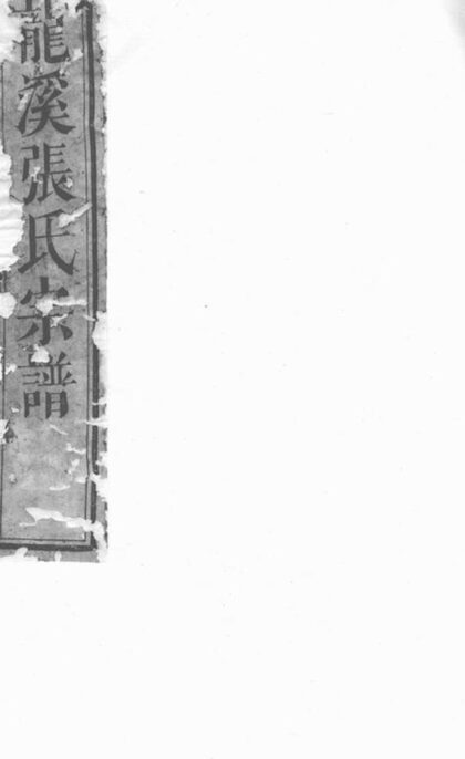 12119 龍溪張氏宗譜 Version 15 1208134603 1.jpg