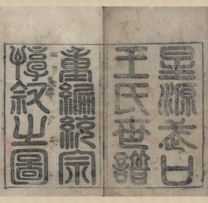1463 安徽婺源武口王氏统宗谱不分卷 0222145856 1.jpg