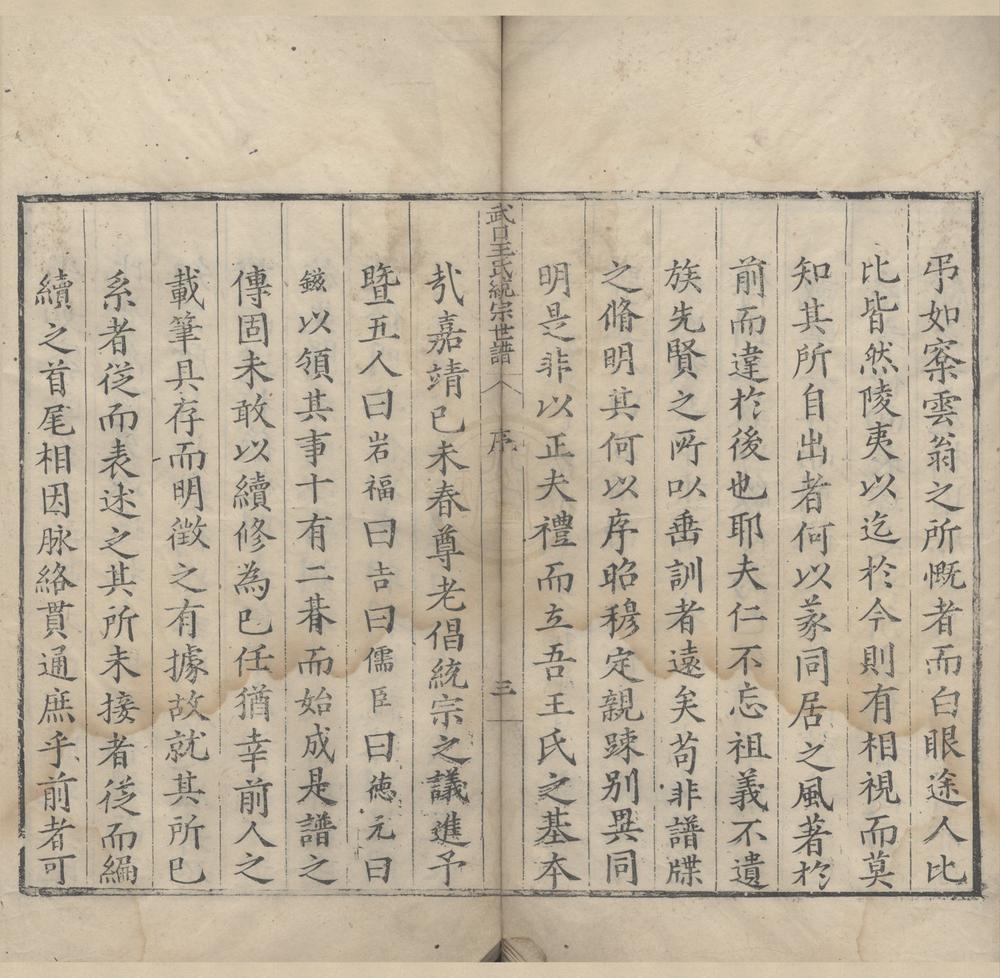 _(安徽婺源)武口王氏统宗谱不分卷__