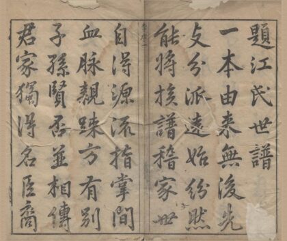 1464 浙江杭州虎林江氏族谱不分卷 0222145900 1.jpg