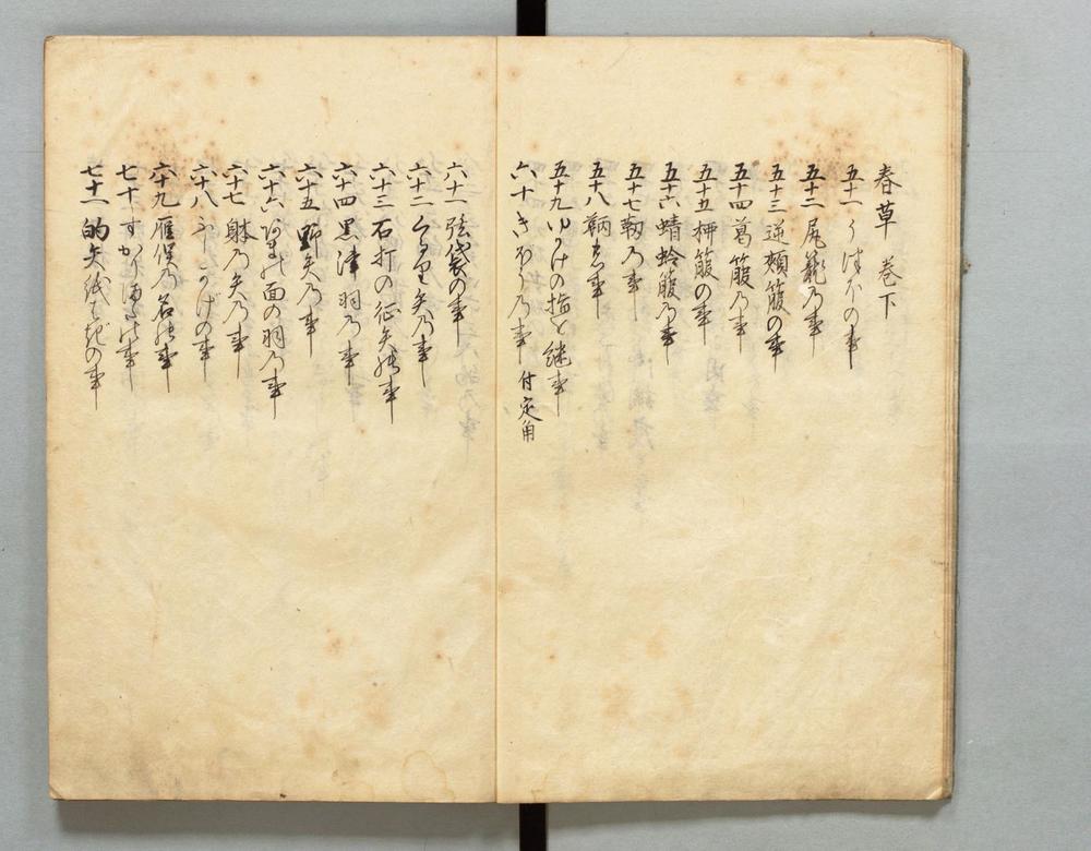 _四季草__