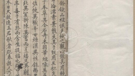 2347 重刊经史证类大全本草三十一卷 0222160707 1.jpg