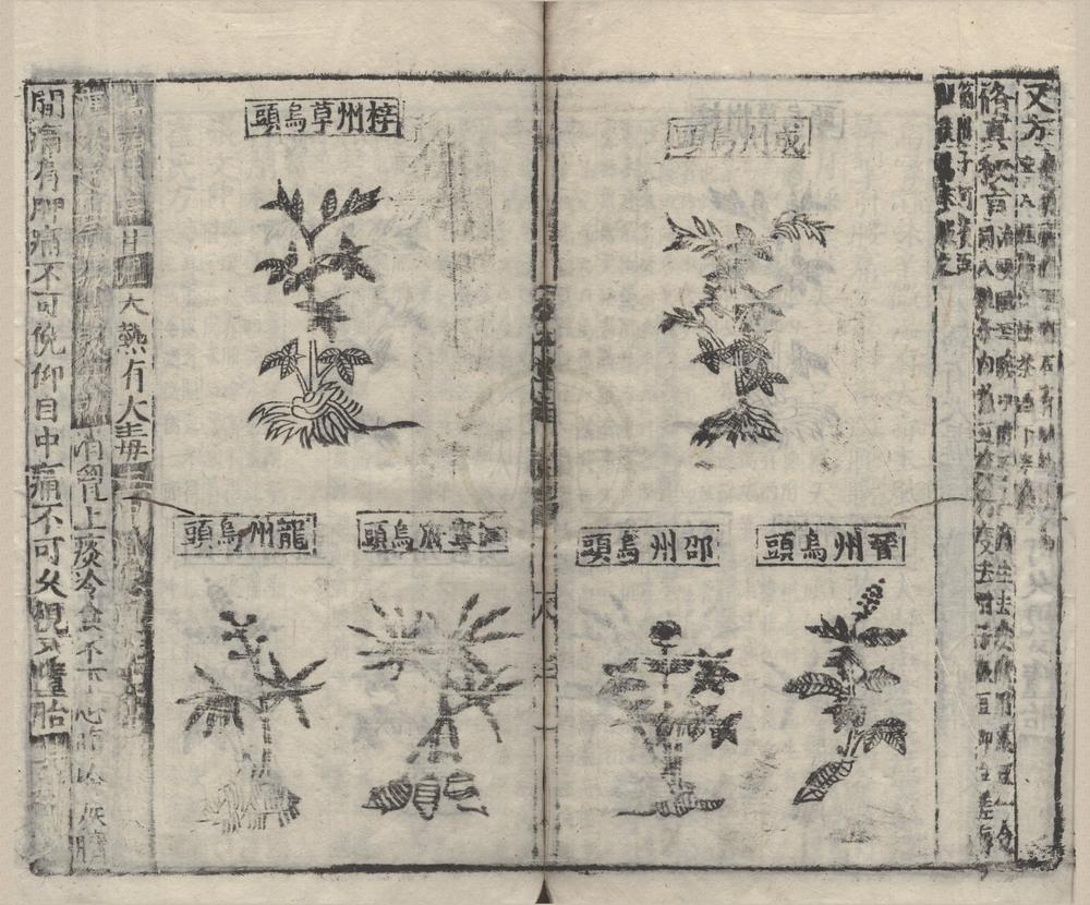 _重刊经史证类大全本草三十一卷__