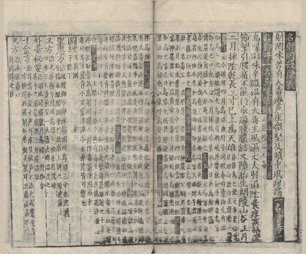 _重刊经史证类大全本草三十一卷__
