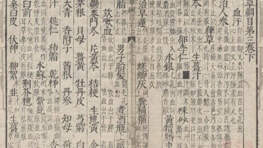 2349 本草纲目五十二卷图二卷 0222160713 1.jpg