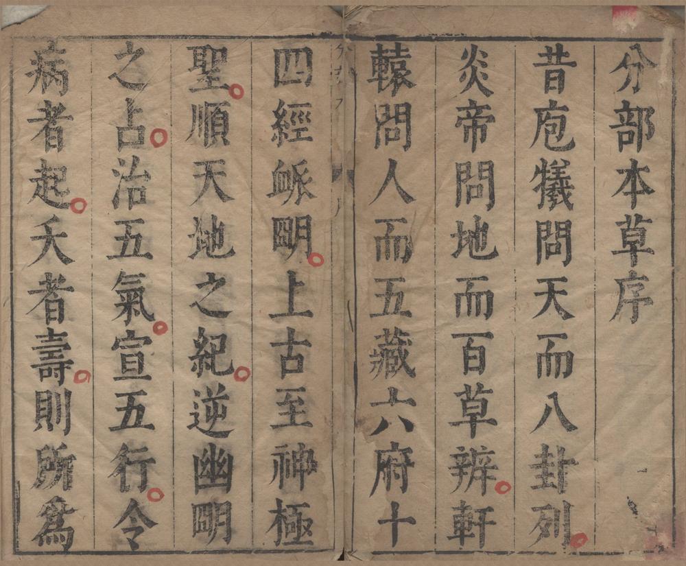 _分部本草妙用十卷__
