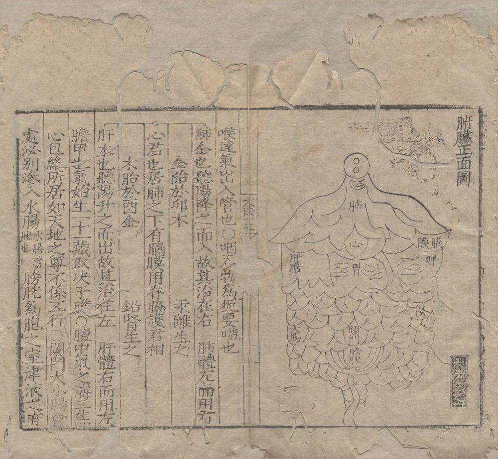 _伊尹汤液仲景广为大法四卷__