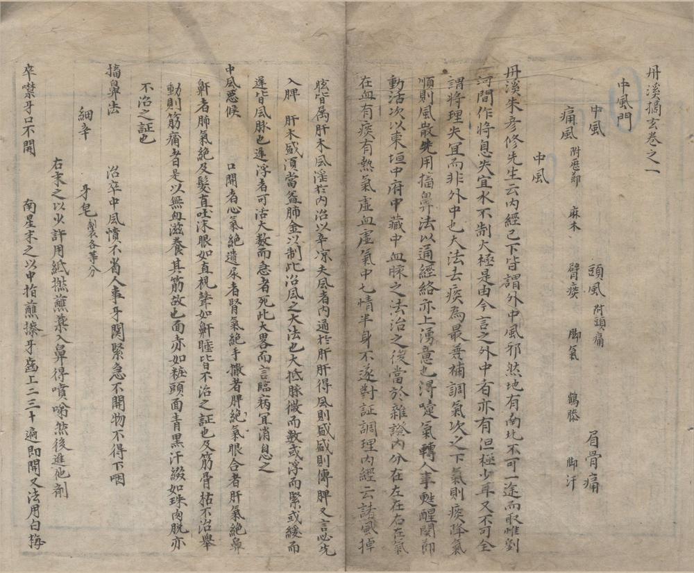 _丹溪摘玄二十卷__