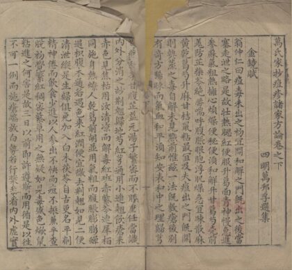 2420 万氏家抄痘疹诸家方论二卷续集一卷 0222161605 1.jpg