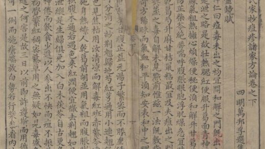 2420 万氏家抄痘疹诸家方论二卷续集一卷 0222161605 1.jpg