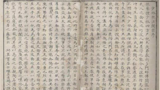 2495 少林棍法阐宗一卷 0222162132 1.jpg