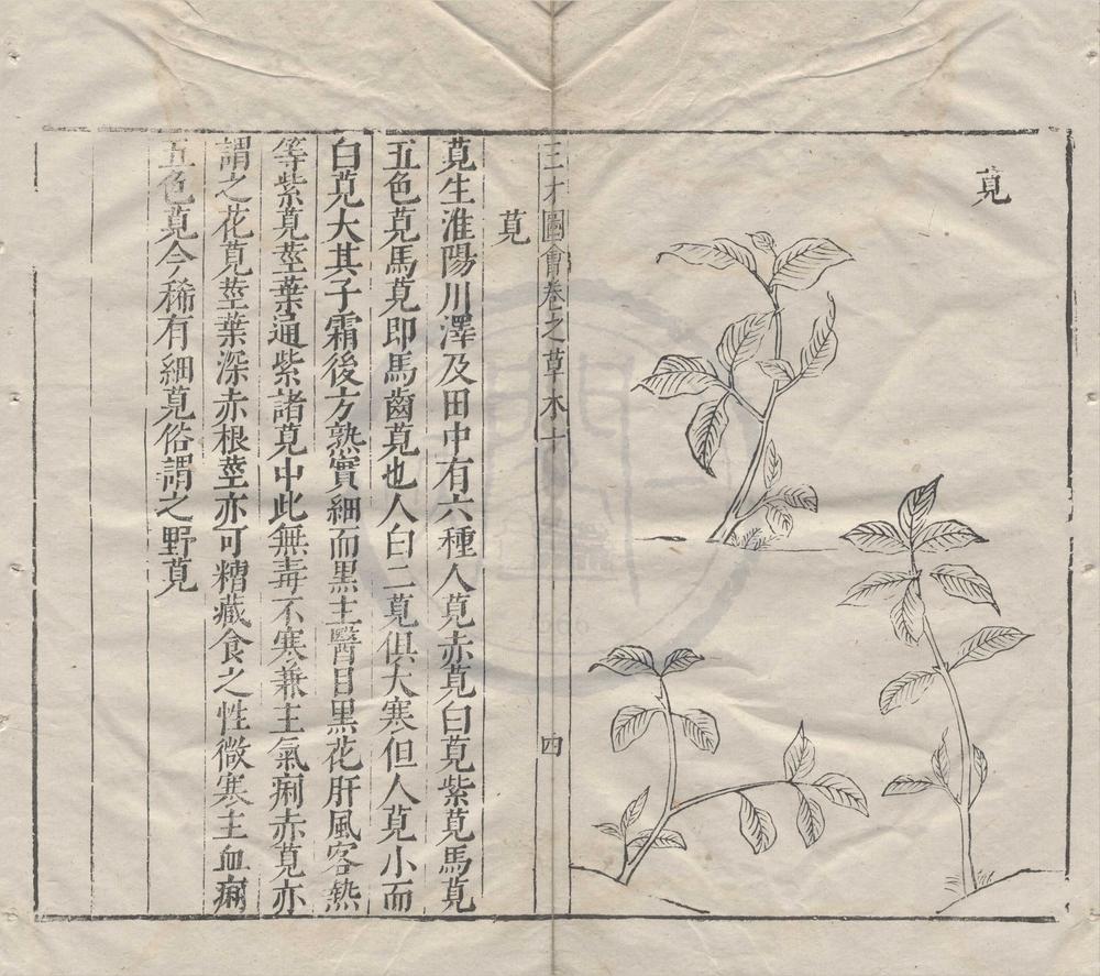 _三才图会__