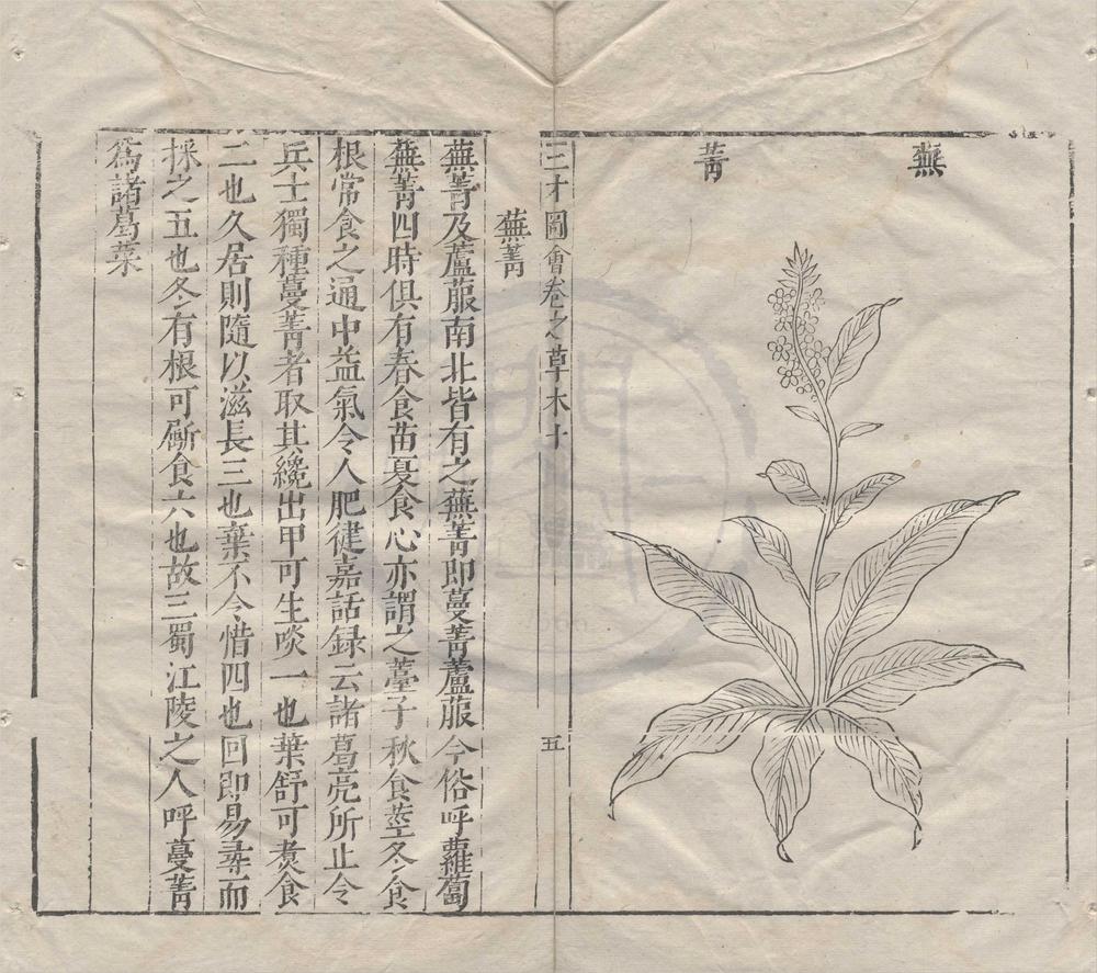 _三才图会__