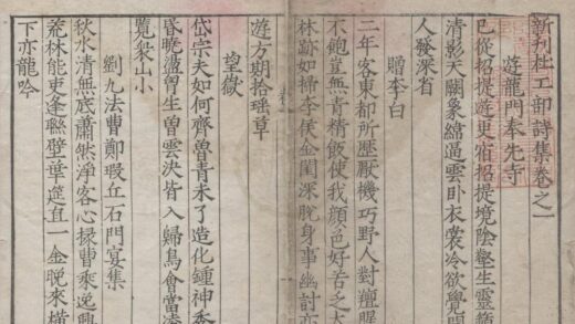 2922 新刊杜工部诗集二十卷年谱一卷诸家诗话一卷附录一卷 0222165659 1.jpg