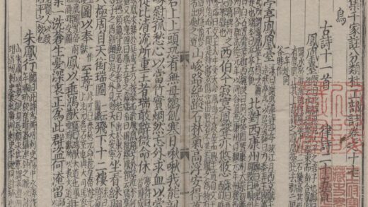 2925 集千家注分类杜工部诗二十五卷 0222165706 1.jpg