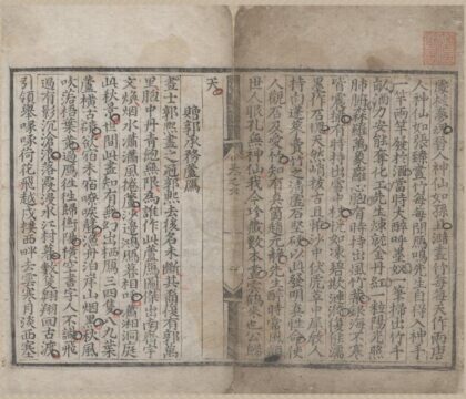 3096 白玉蟾海琼摘藁十卷 0222170528 1.jpg