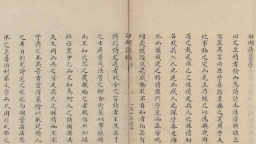 3531 白湖诗稿八卷白湖文藁八卷时文一卷 0222171958 1.jpg