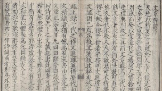 3673 文章辨体五十卷外集五卷总论一卷 0222172513 1.jpg
