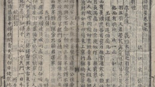 3796 元诗体要十四卷 0222173055 1.jpg