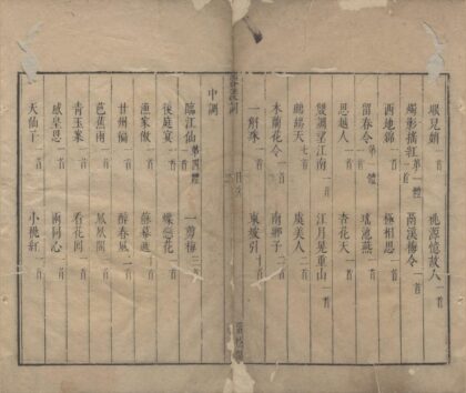 3929 国朝名家诗余四十卷附刻二卷（存一种） 0222173623 1.jpg