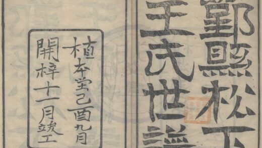 4135 浙江鄞州鄞县松下王氏世谱二十卷首一卷附一卷 0222174803 1.jpg