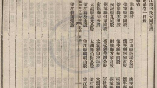 4176 安徽庐江庐江郡何氏大同宗谱二十六卷 0222175124 1.jpg