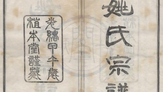 4259 浙江宁波慈溪姚氏宗谱三十卷 0222175806 1.jpg