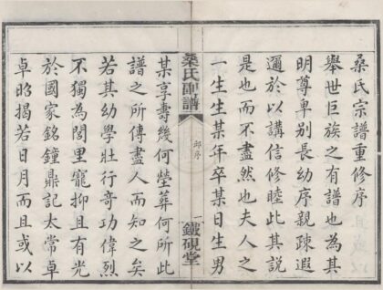 4314 浙江鄞县鄮东一都桑氏副谱六卷首一卷别录一卷 0222180254 1.jpg