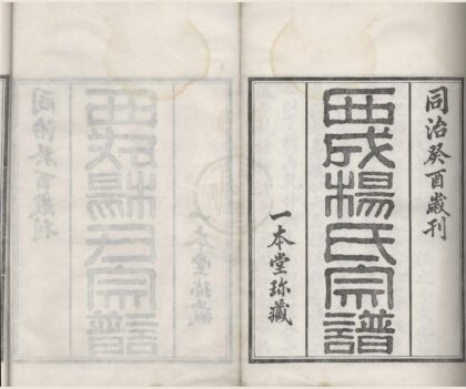 4442 浙江鄞县西成杨氏宗谱九卷首一卷 0222181404 1.jpg