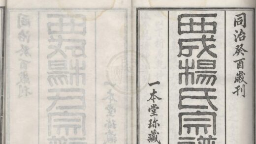 4442 浙江鄞县西成杨氏宗谱九卷首一卷 0222181404 1.jpg